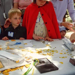 Egg Hunt 2001