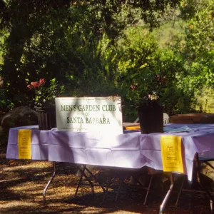 Wildflower Festival 1994