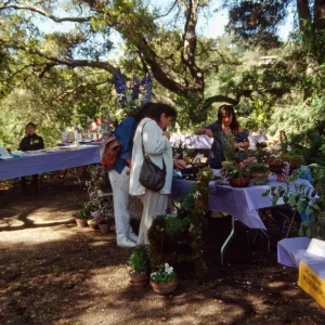 Wildflower Festival 1994