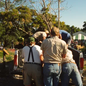 Wildflower Festival 1994