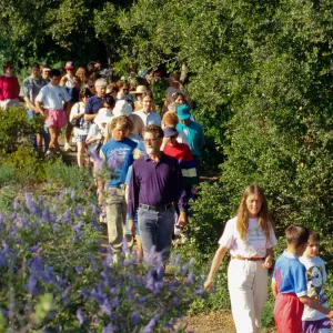Wildflower Festival 1996