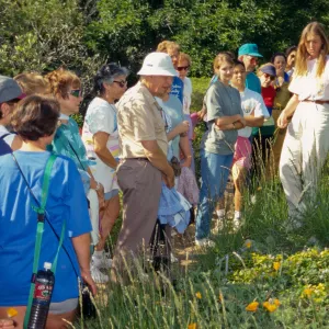 Wildflower Festival 1996