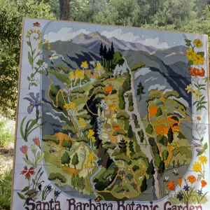 Spring Celebration 1987