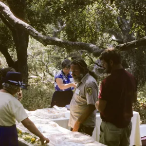 Spring Celebration 1987
