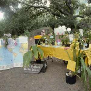 Wildflower Day 1992
