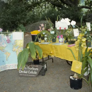 Wildflower Day 1992