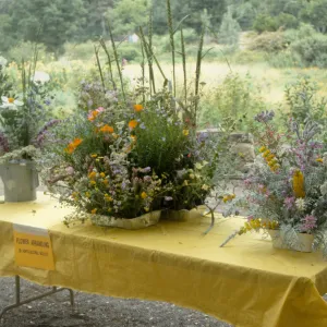 Wildflower Day 1992