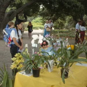 Wildflower Day 1992