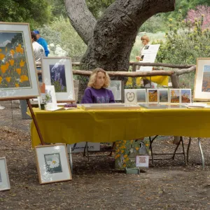 Wildflower Day 1993