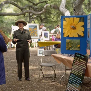 Wildflower Day 1993