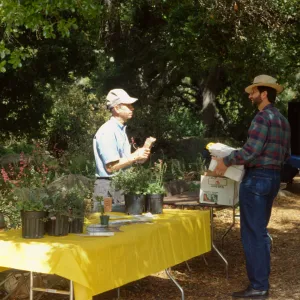 Wildflower Day 1993