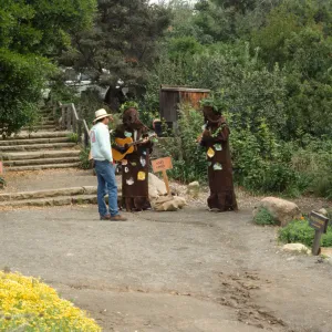 Wildflower Day 1993