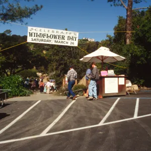 Wildflower Day 1994