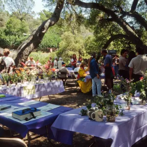 Wildflower Day 1994