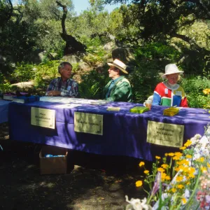 Wildflower Day 1994