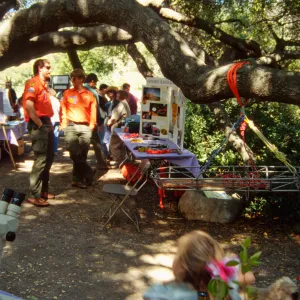 Wildflower Day 1994