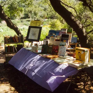 Wildflower Day 1994
