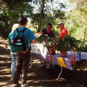 Wildflower Day 1994