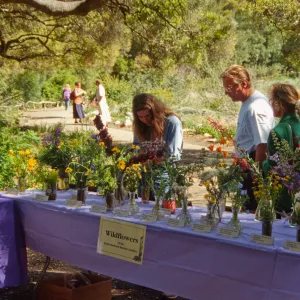 Wildflower Day 1994