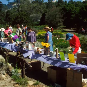 Wildflower Day 1994