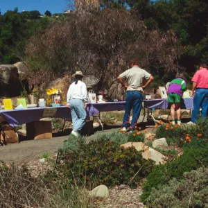 Wildflower Day 1994