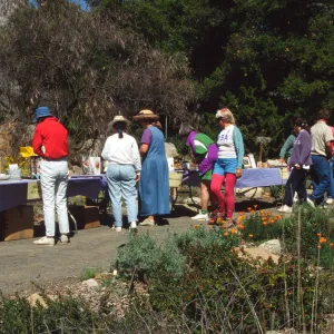 Wildflower Day 1994