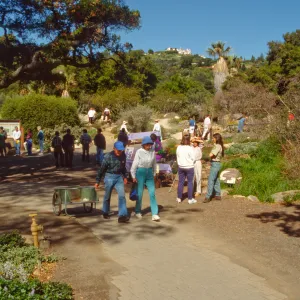 Wildflower Day 1994