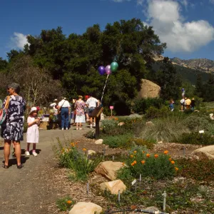 Wildflower Day 1994