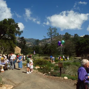 Wildflower Day 1994