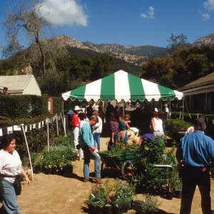 Wildflower Day 1994