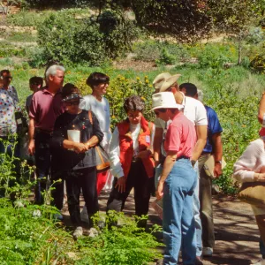 Wildflower Day 1994