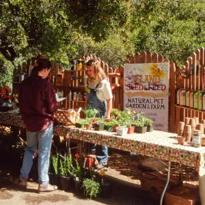 Wildflower Day 1994