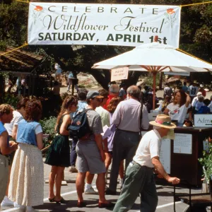 Wildflower Festival 1995
