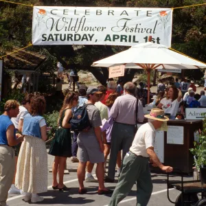 Wildflower Festival 1995