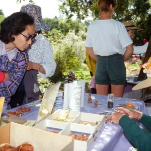 Wildflower Festival 1995