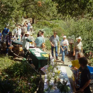 Wildflower Festival, 1995