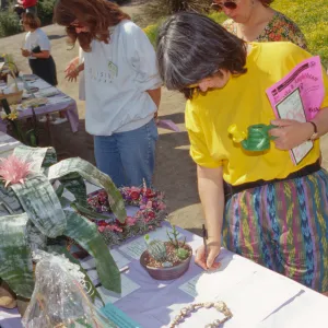 Wildflower Festival 1995