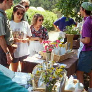 Wildflower Festival 1995