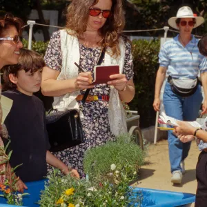 Wildflower Festival 1995
