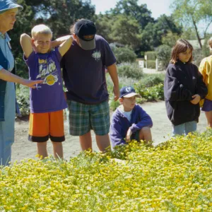 Wildflower Festival 1995