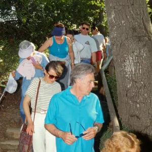 Wildflower Festival 1995