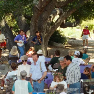 Wildflower Festival 1995