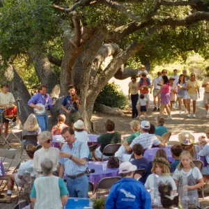 Wildflower Festival 1995