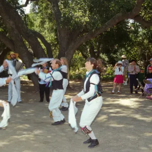Wildflower Festival 1995