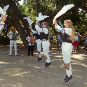 Wildflower Festival 1995