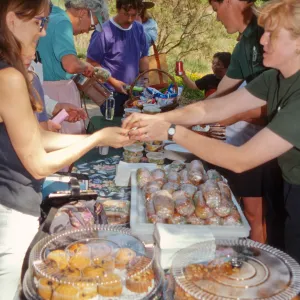 Wildflower Festival 1995