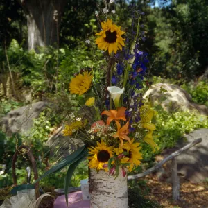 Wildflower Festival 1996, exotic flowers in floral arrangement