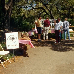 Wildflower Festival 1996