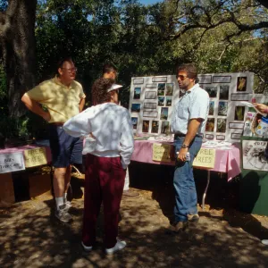 Wildflower Festival 1996
