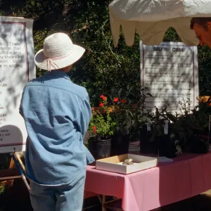 Wildflower Festival 1996